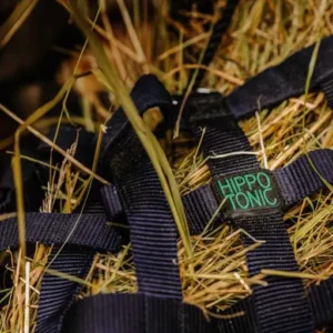 Sac pentru fan